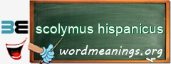 WordMeaning blackboard for scolymus hispanicus